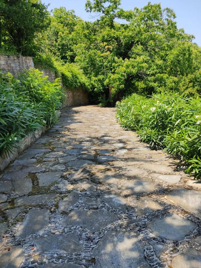 فيلا Cozy Blue Stone House With A Great Sea View. تساغارادا المظهر الخارجي الصورة